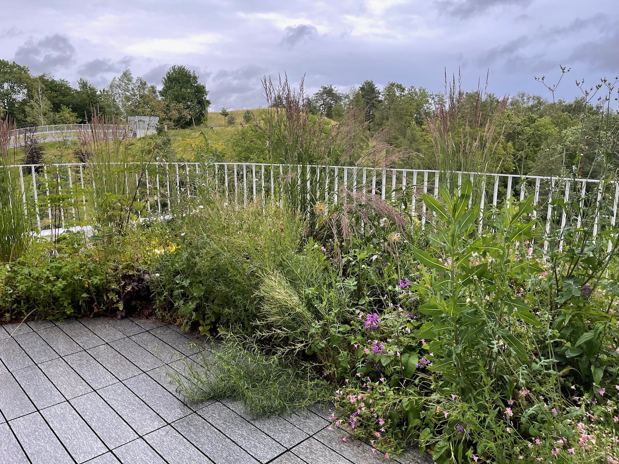 a garden with a fence and trees