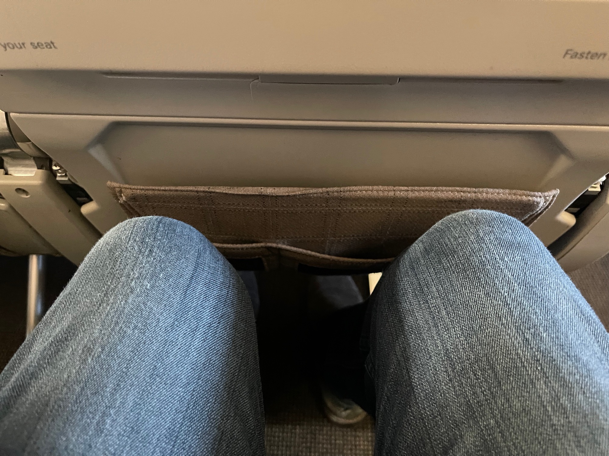 a person's legs in jeans and a pocket on an airplane