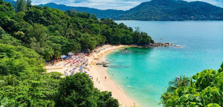 a beach with trees and water