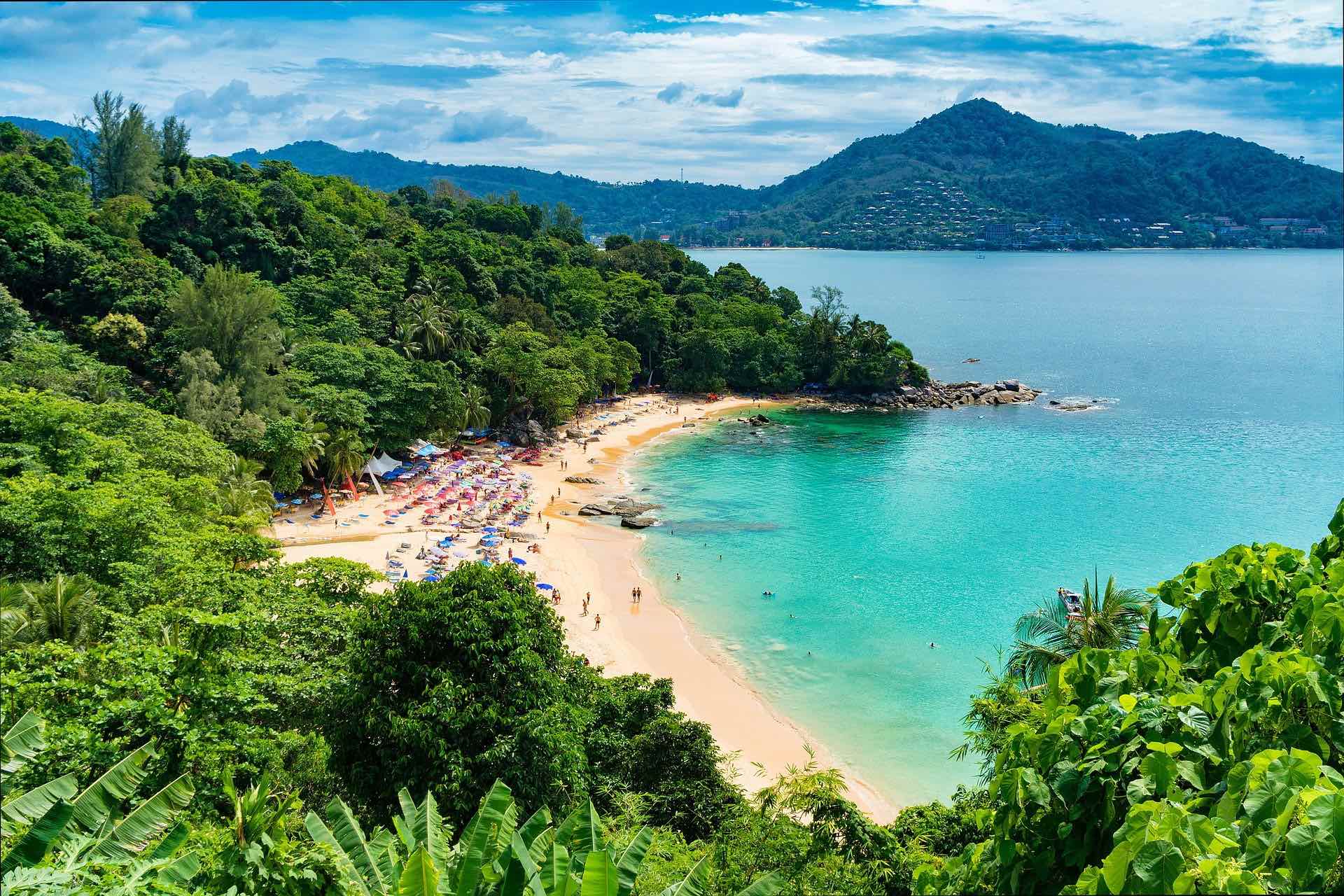 a beach with trees and water