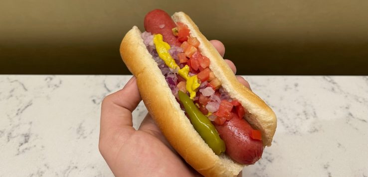 a hand holding a hot dog with different toppings