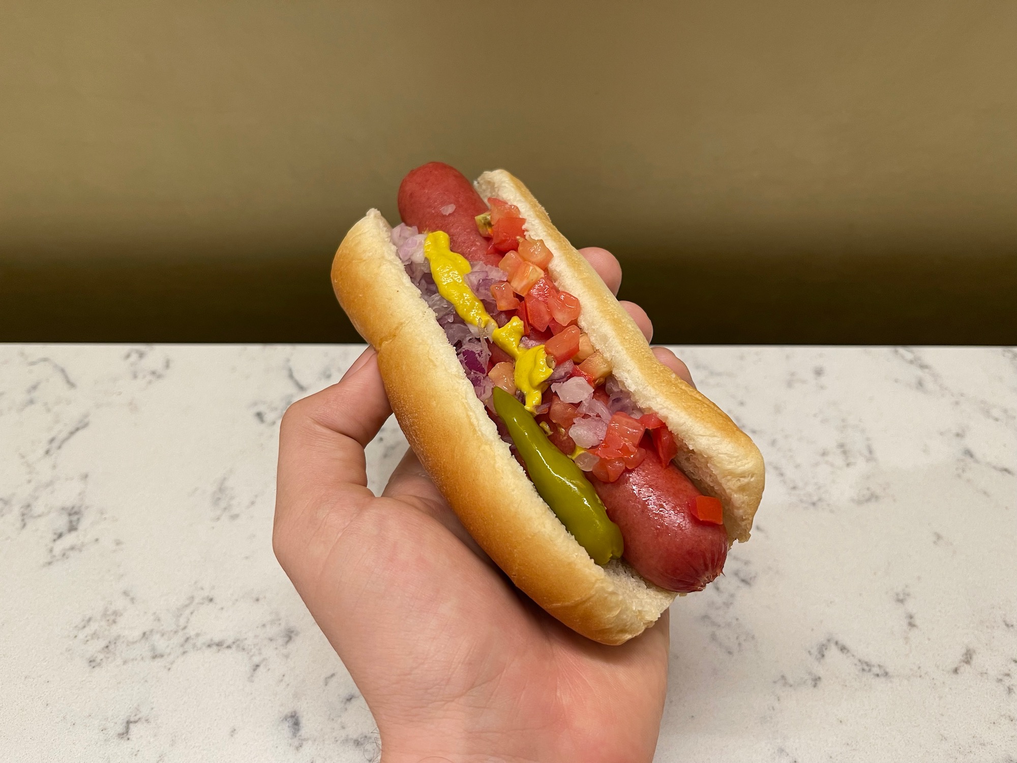 a hand holding a hot dog with different toppings