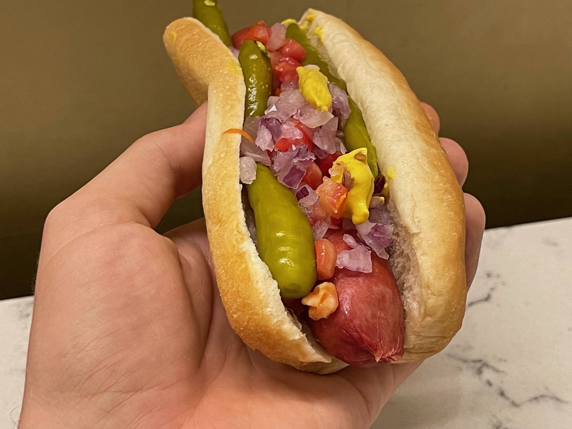 a hand holding a hot dog with various toppings