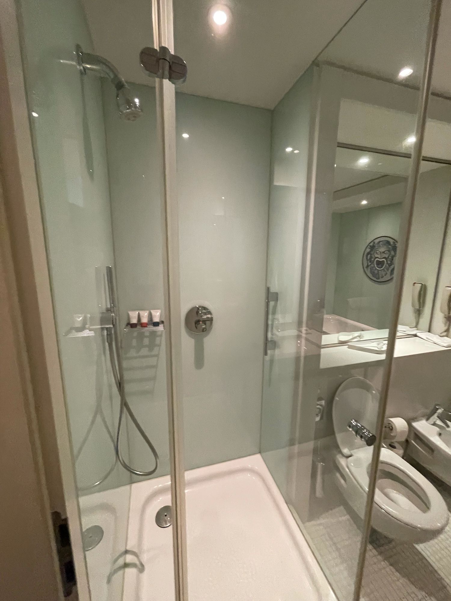 a bathroom with a shower and toilet