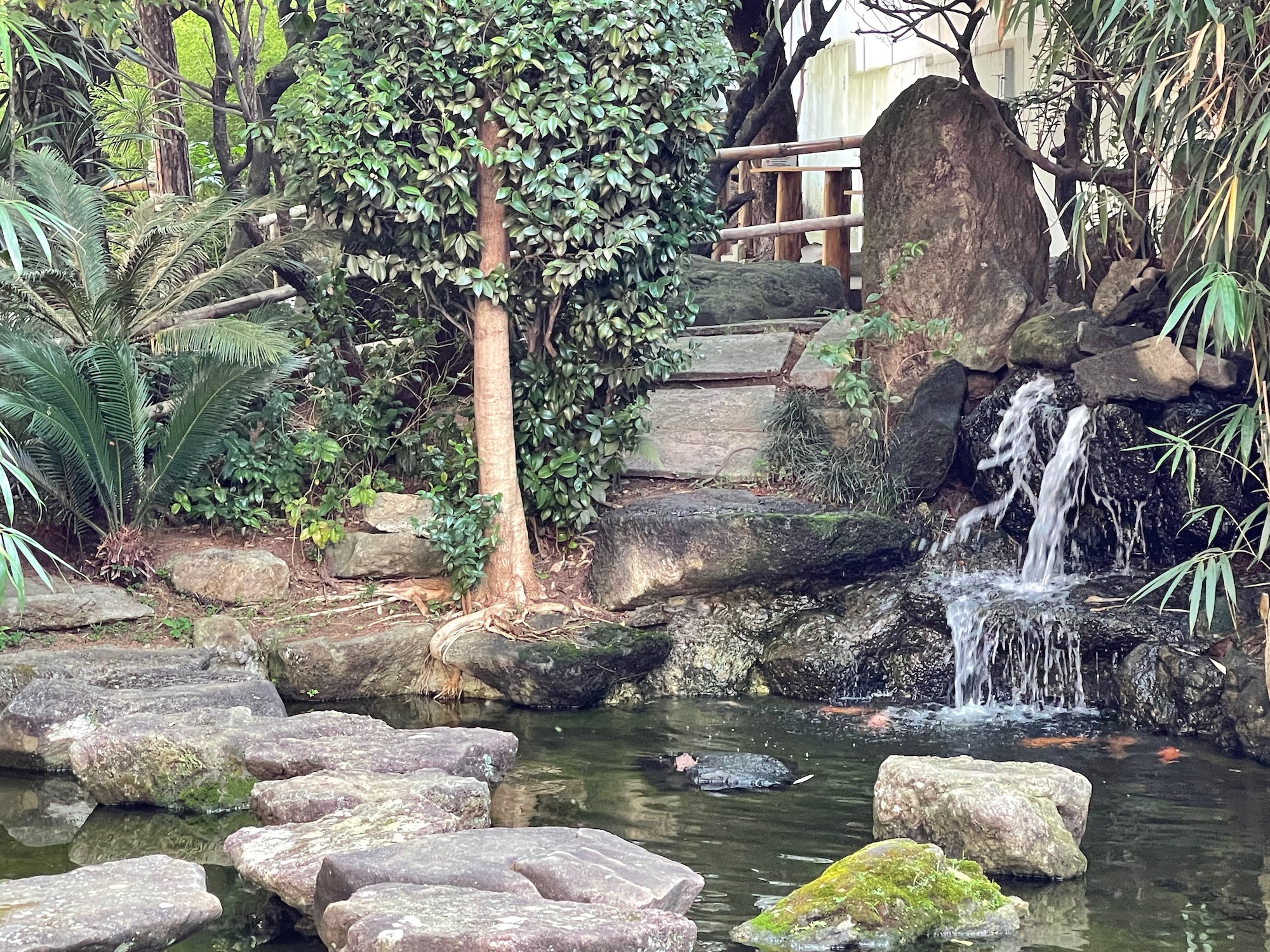 a small waterfall in a pond surrounded by rocks