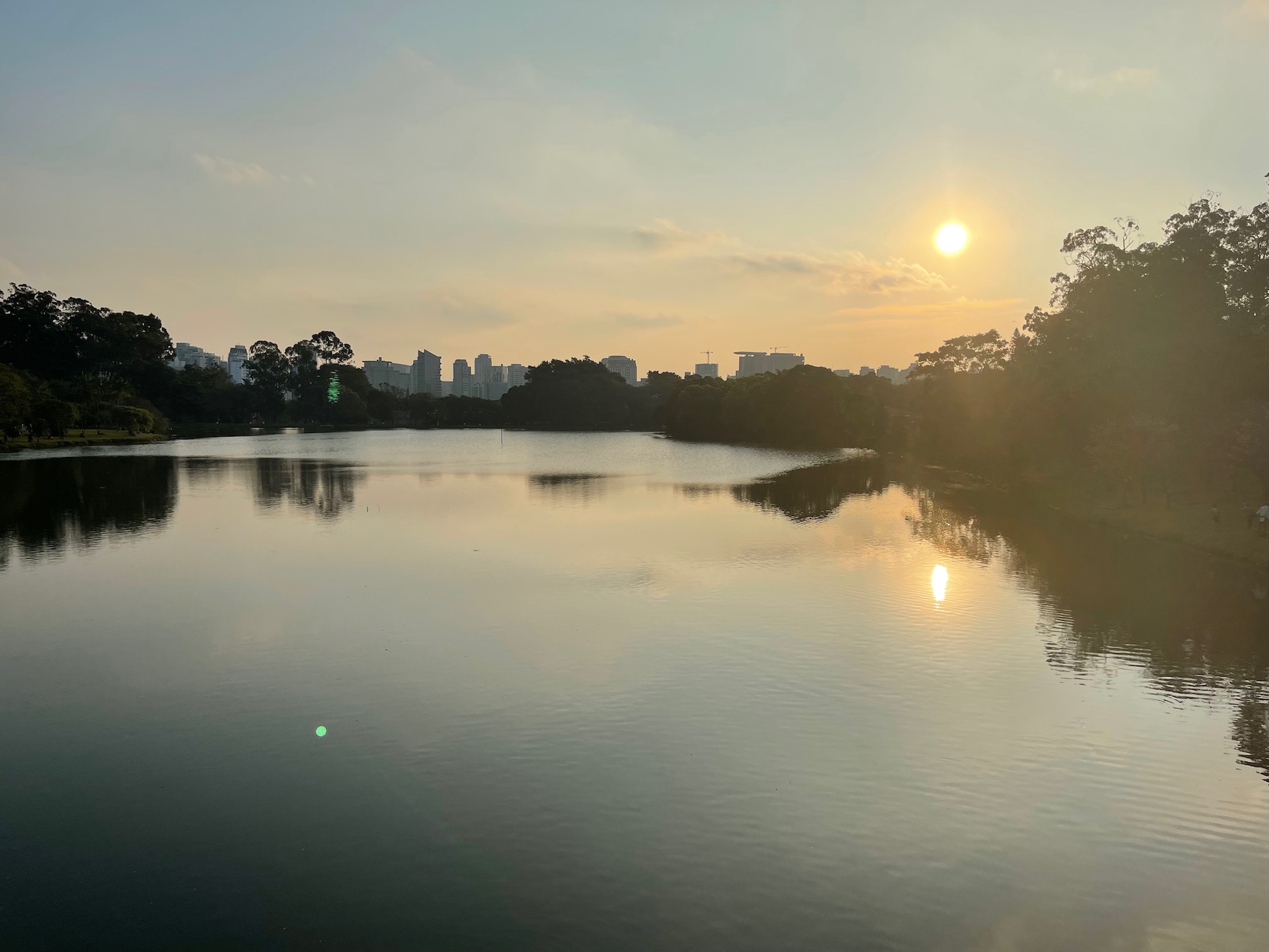 a body of water with trees and a city in the background