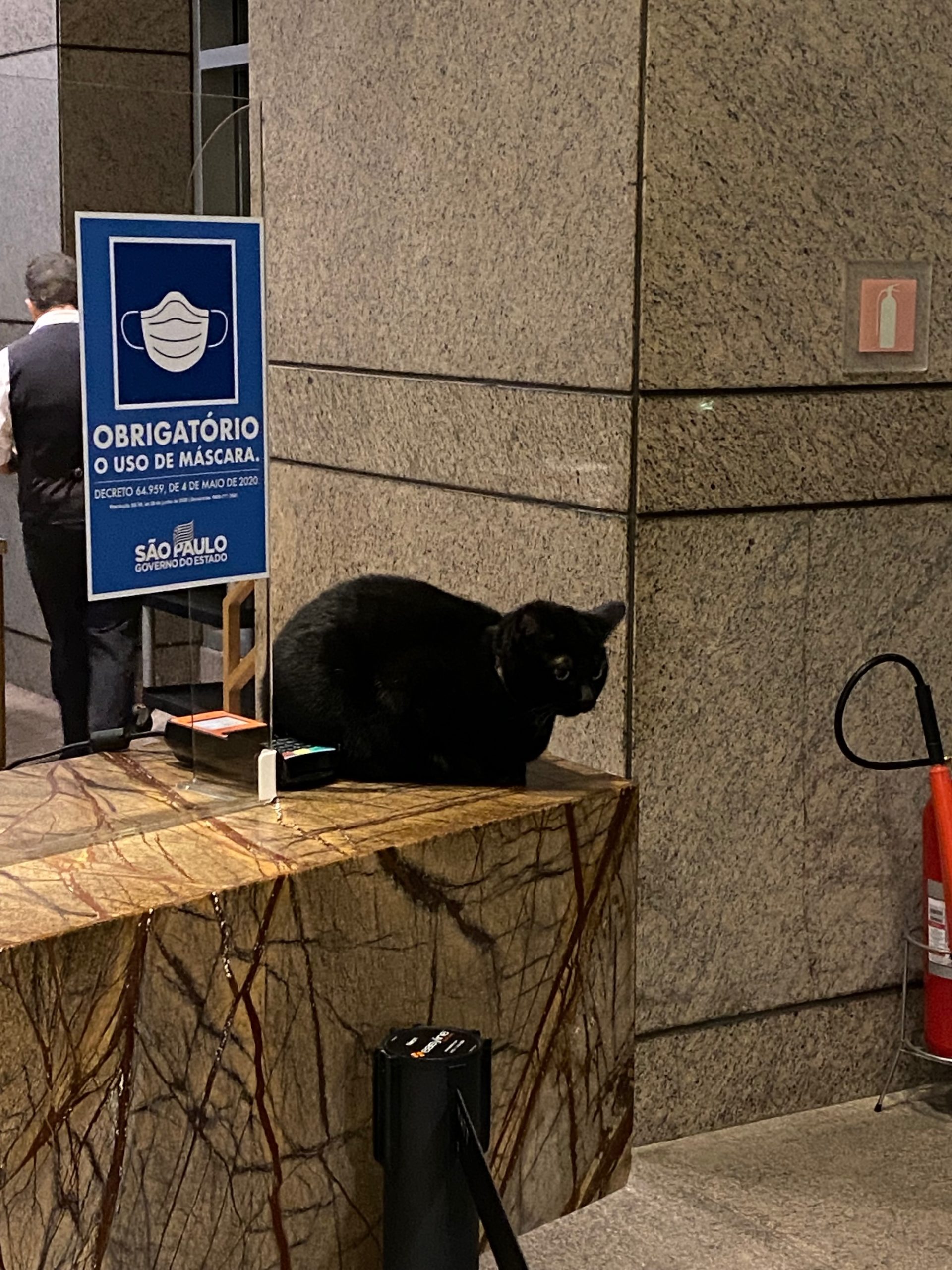 a black cat sitting on a marble counter