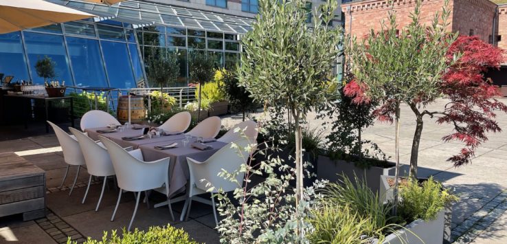 a table and chairs outside with trees and a building in the background