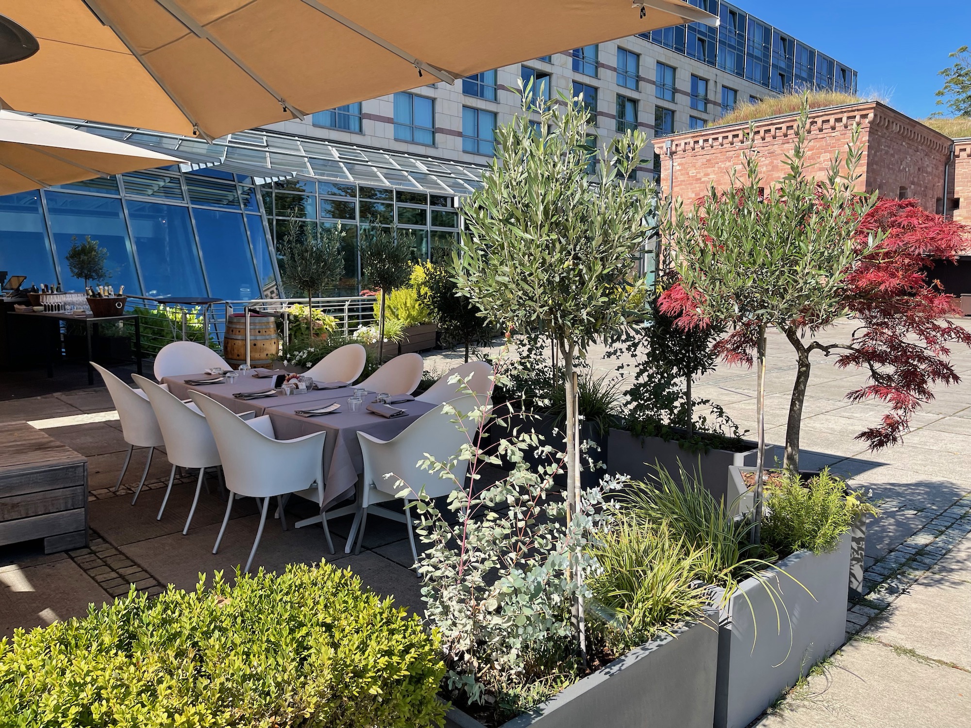 a table and chairs outside with trees and a building in the background