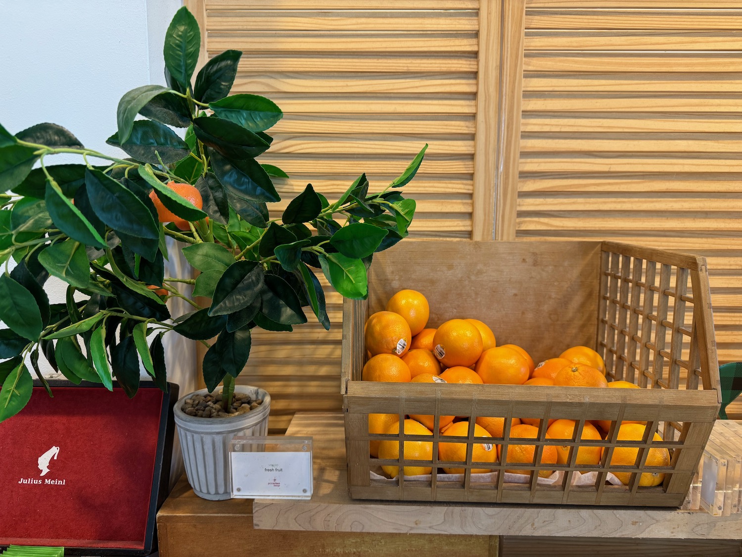 a basket of oranges and a plant