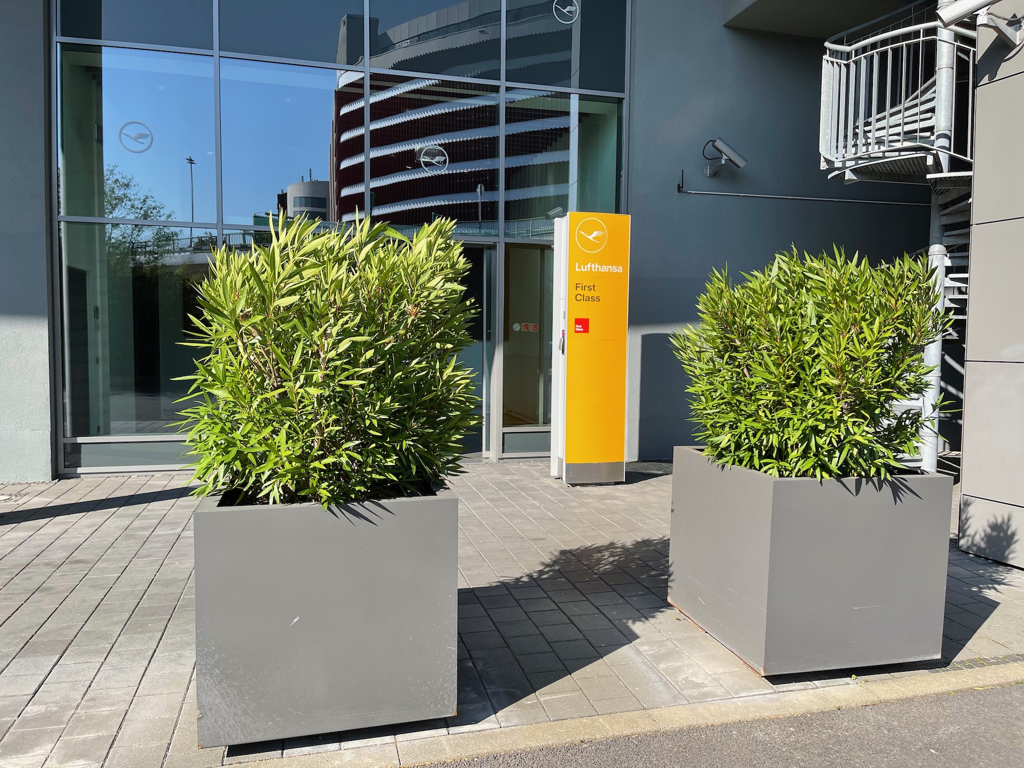 two plants in a square pot outside a building