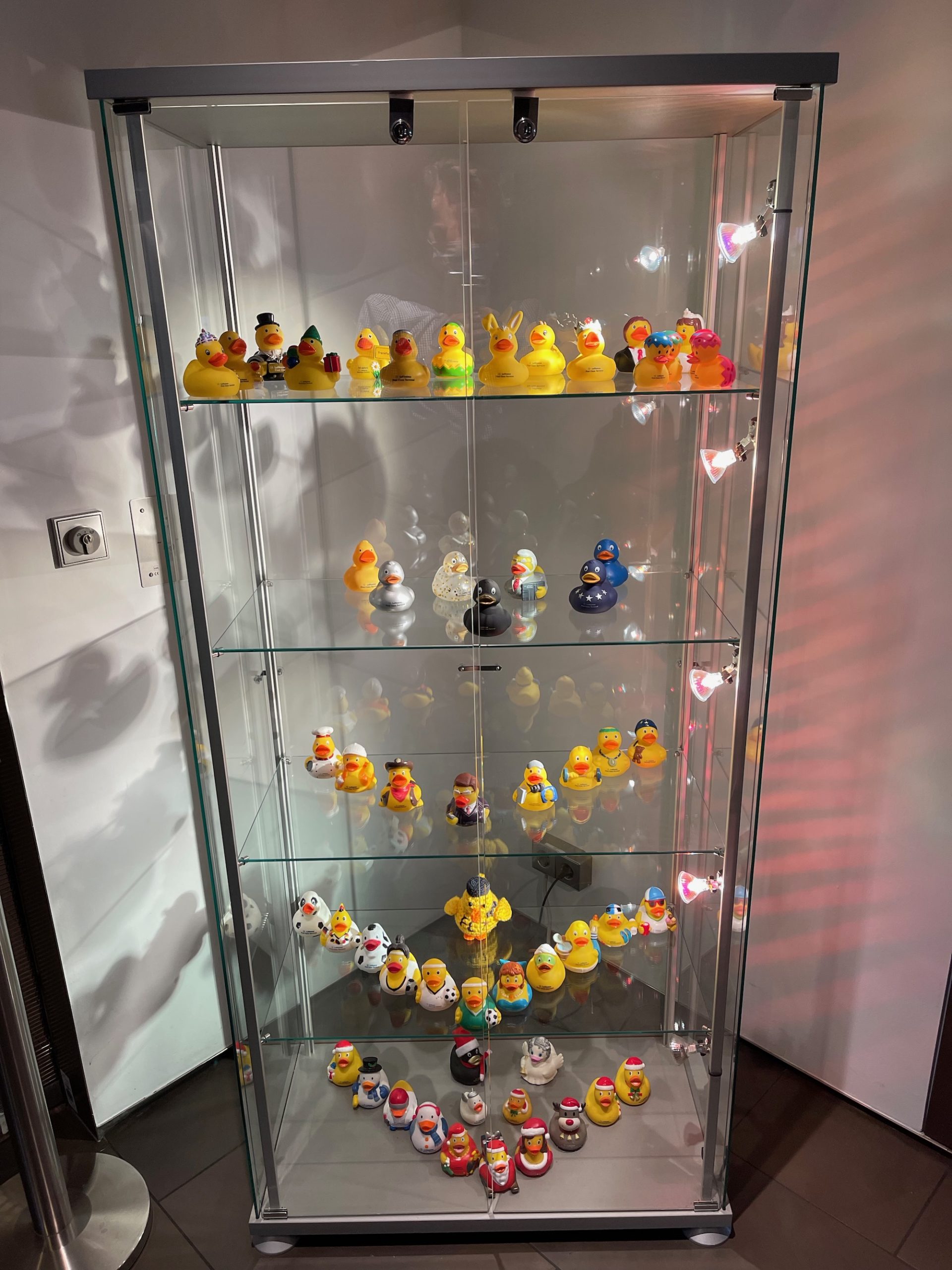 a glass cabinet with many rubber ducks