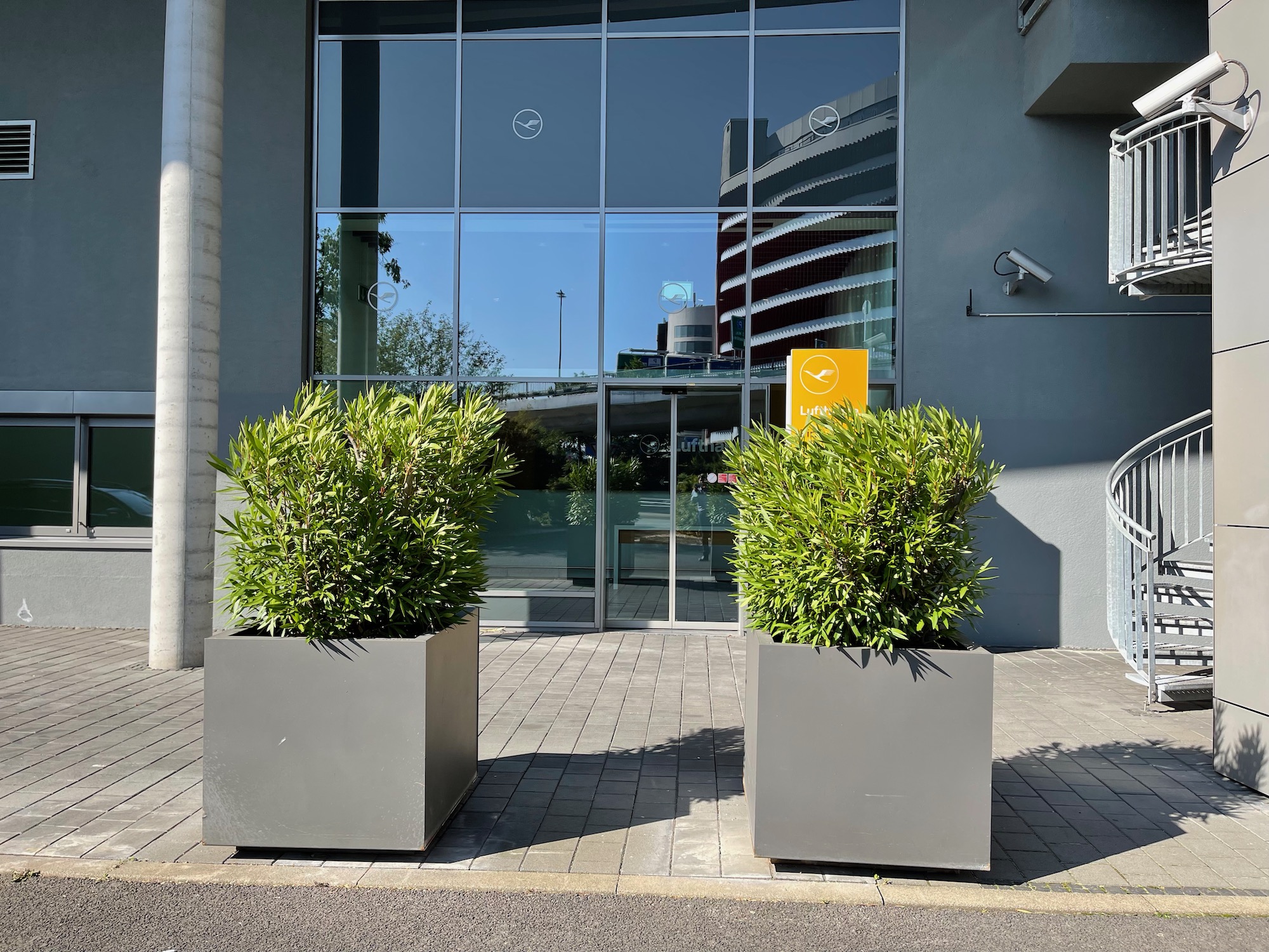 two plants in a planter