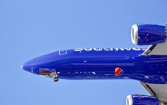 southwest companion pass