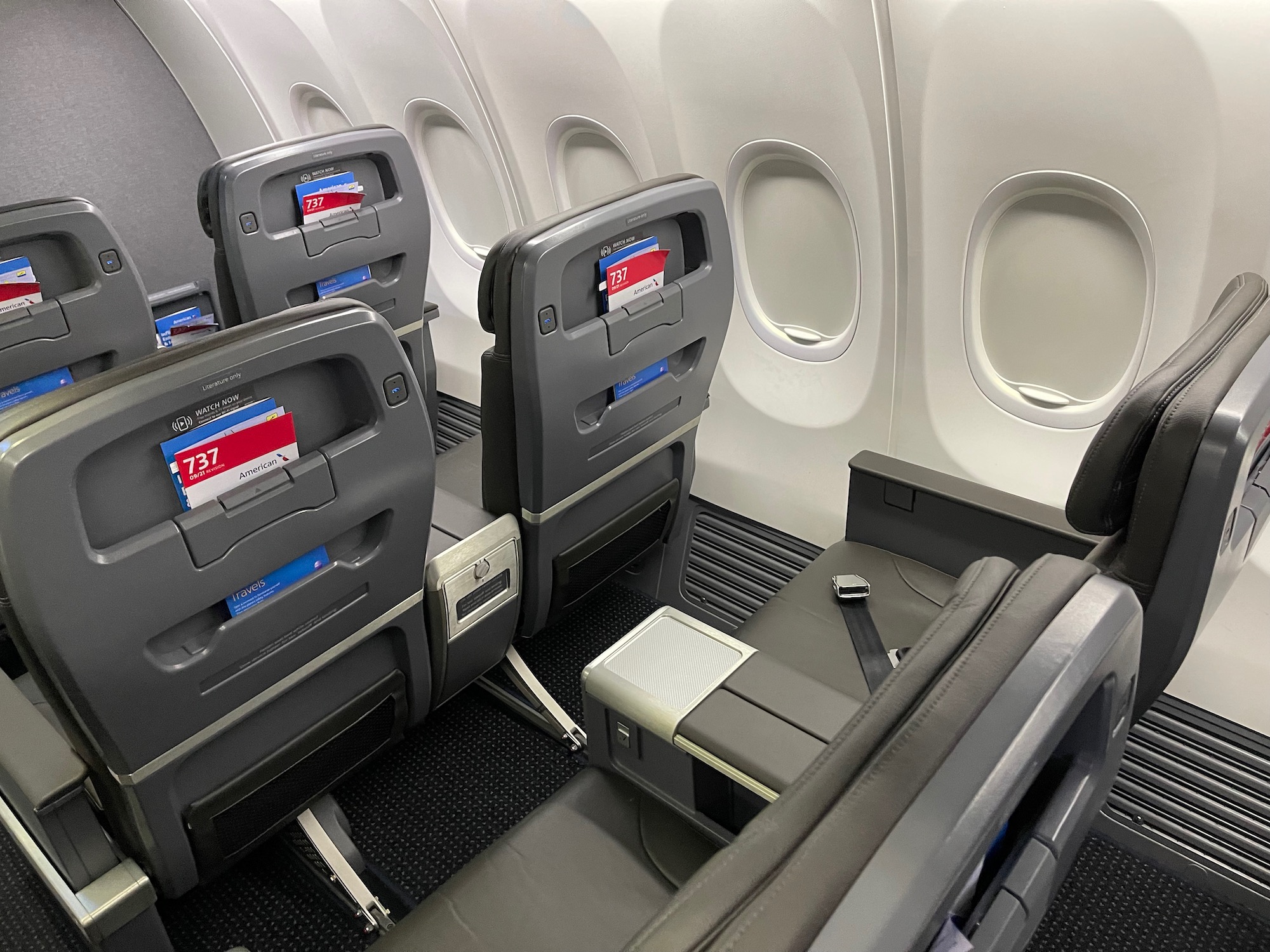 Review American Airlines 737 800 First Class Live and Let s Fly