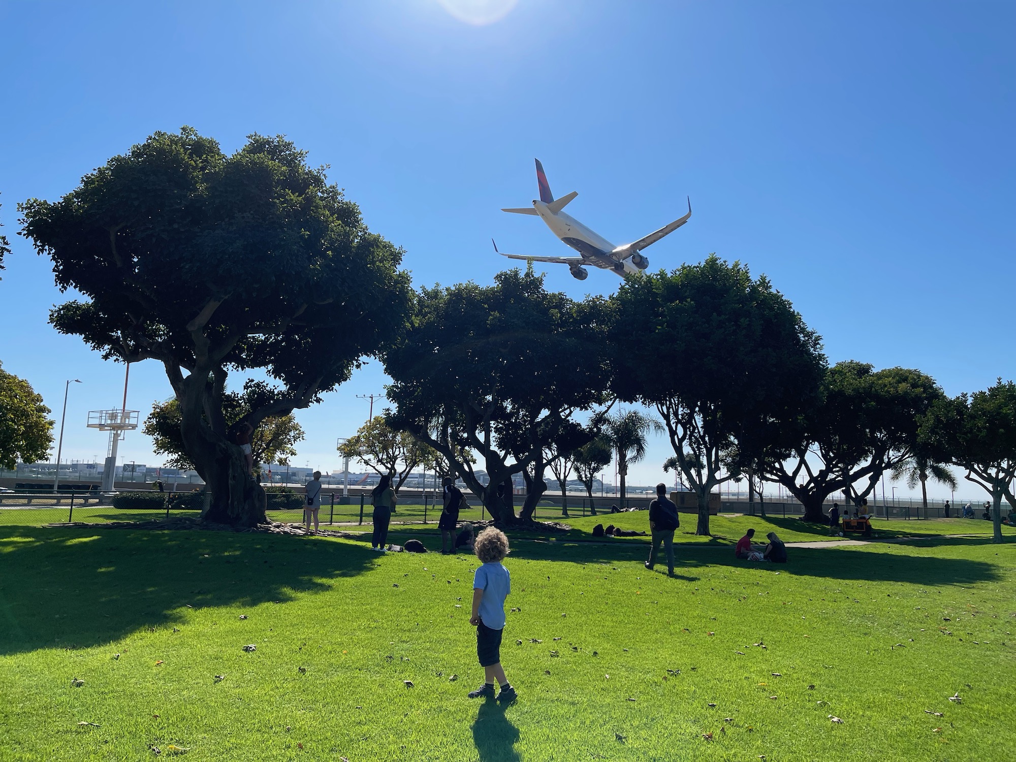 a plane flying over a park