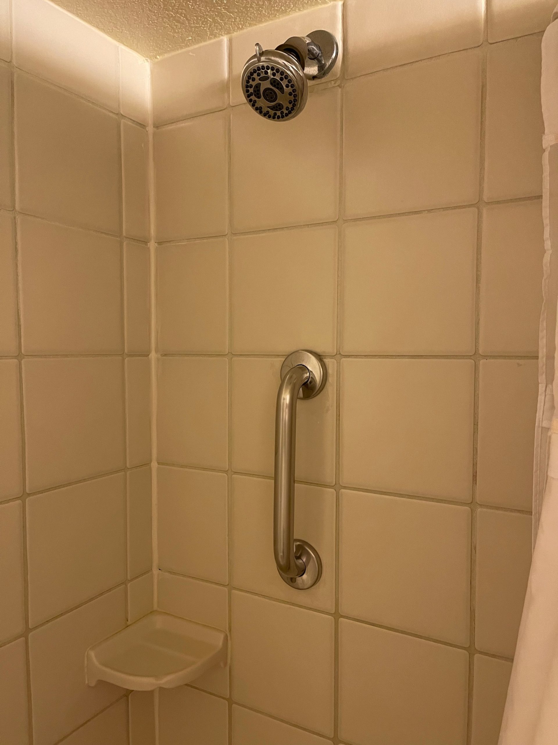 a shower with a grab bar