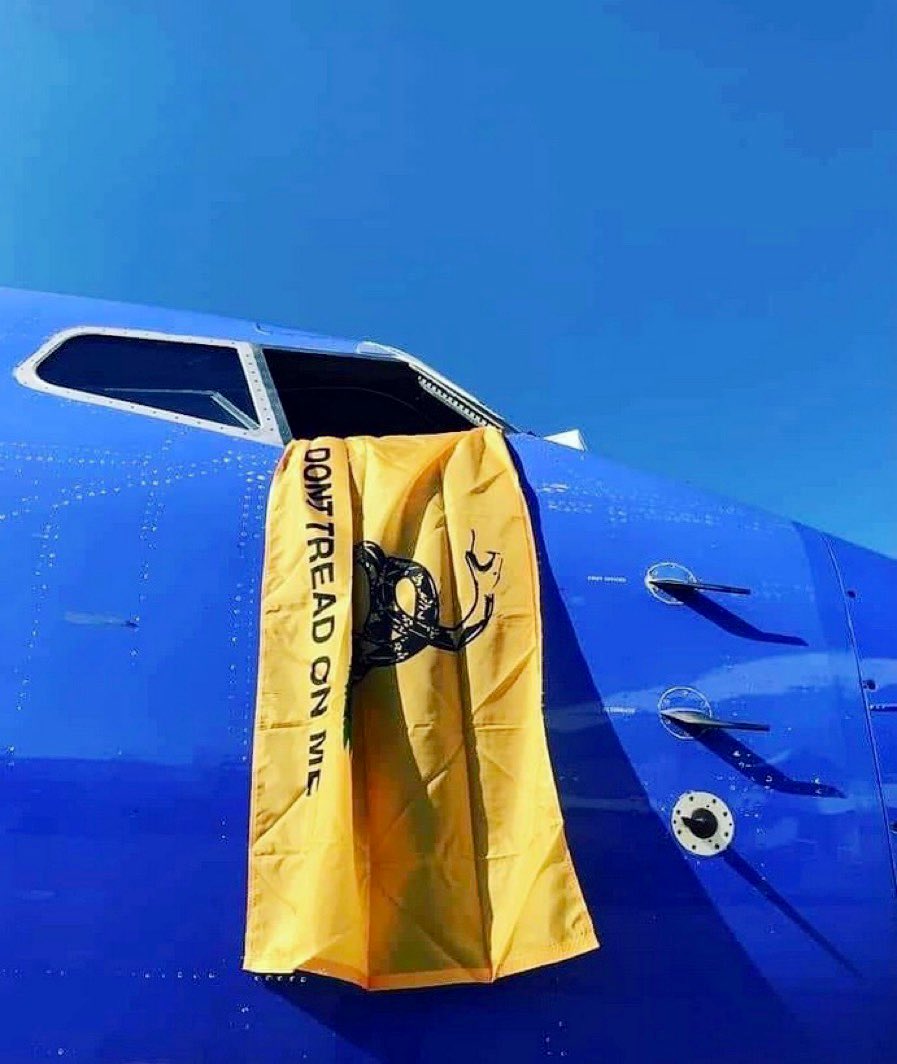 Southwest Pilot Drapes “Don’t Tread On Me” Flag From Cockpit Window