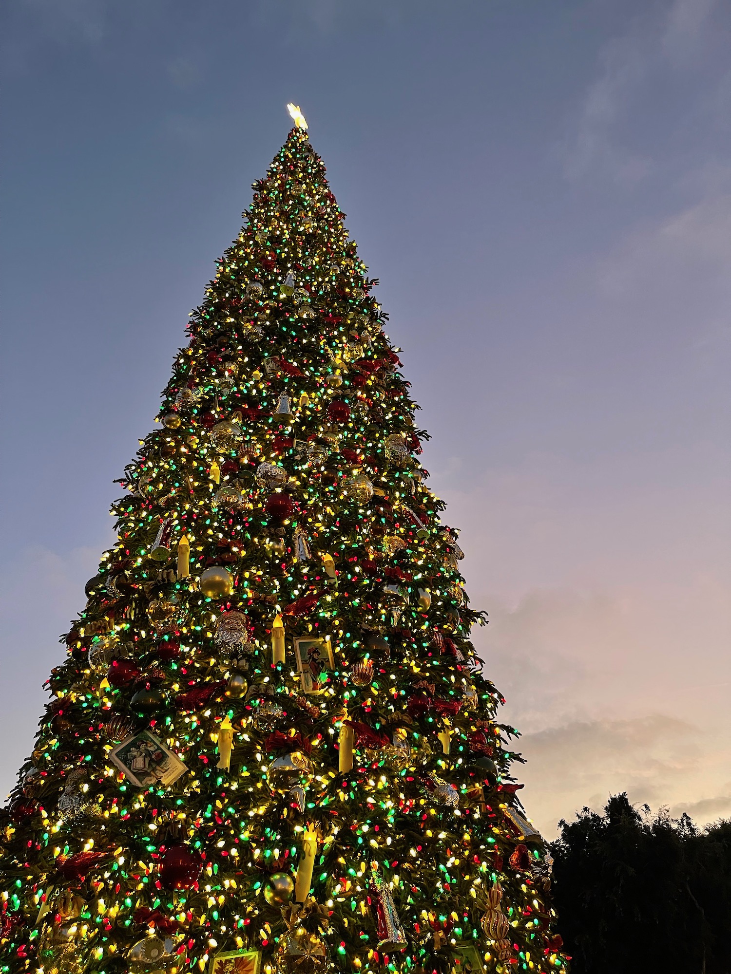 a large christmas tree with lights