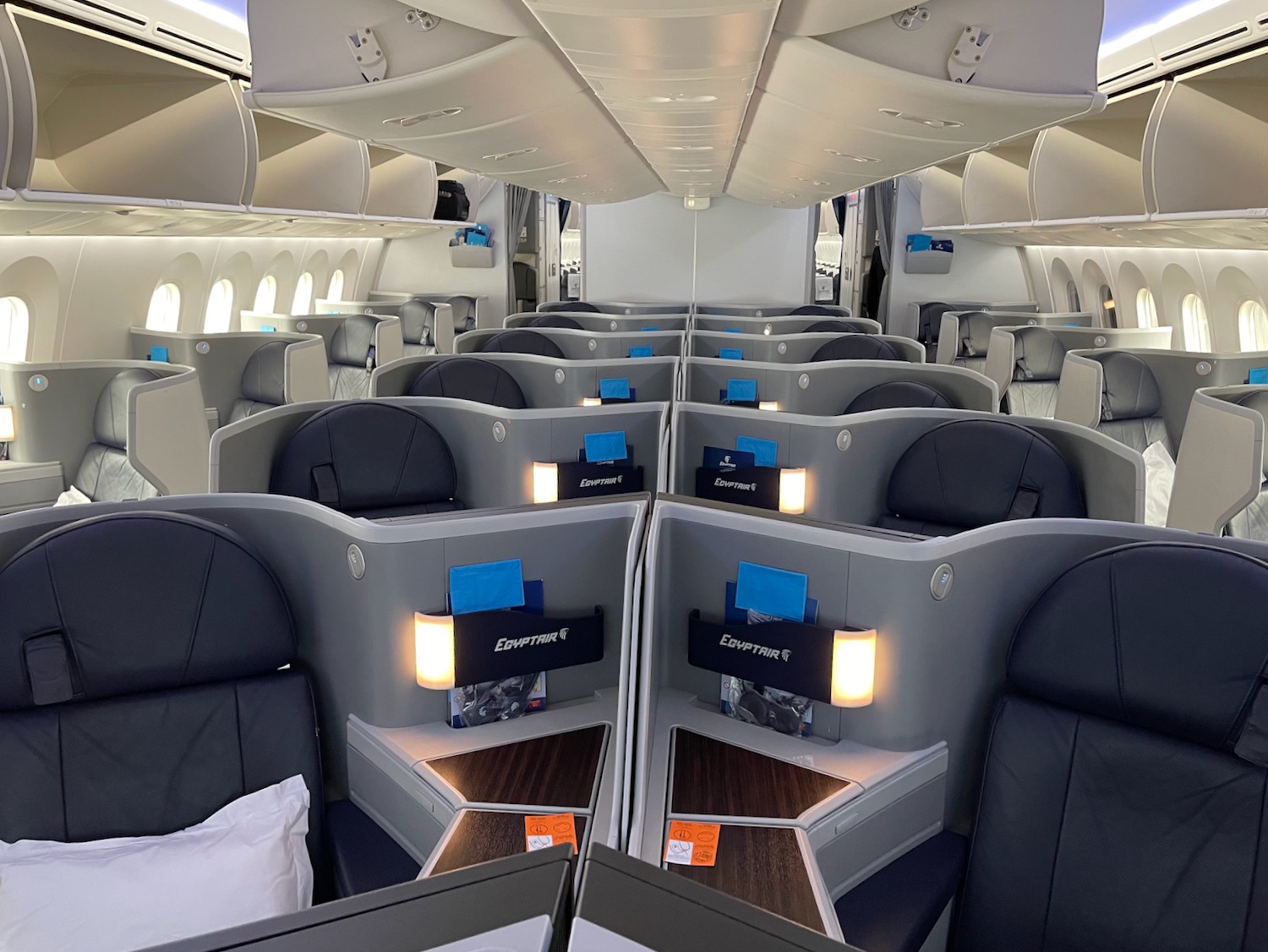 Review EgyptAir 7879 Business Class Live and Let's Fly