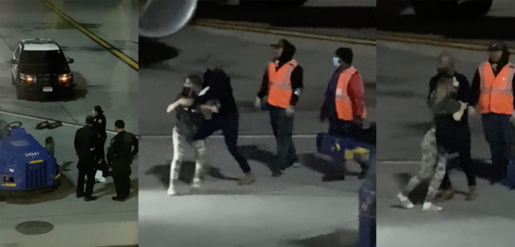 a group of people in orange vests and a dog