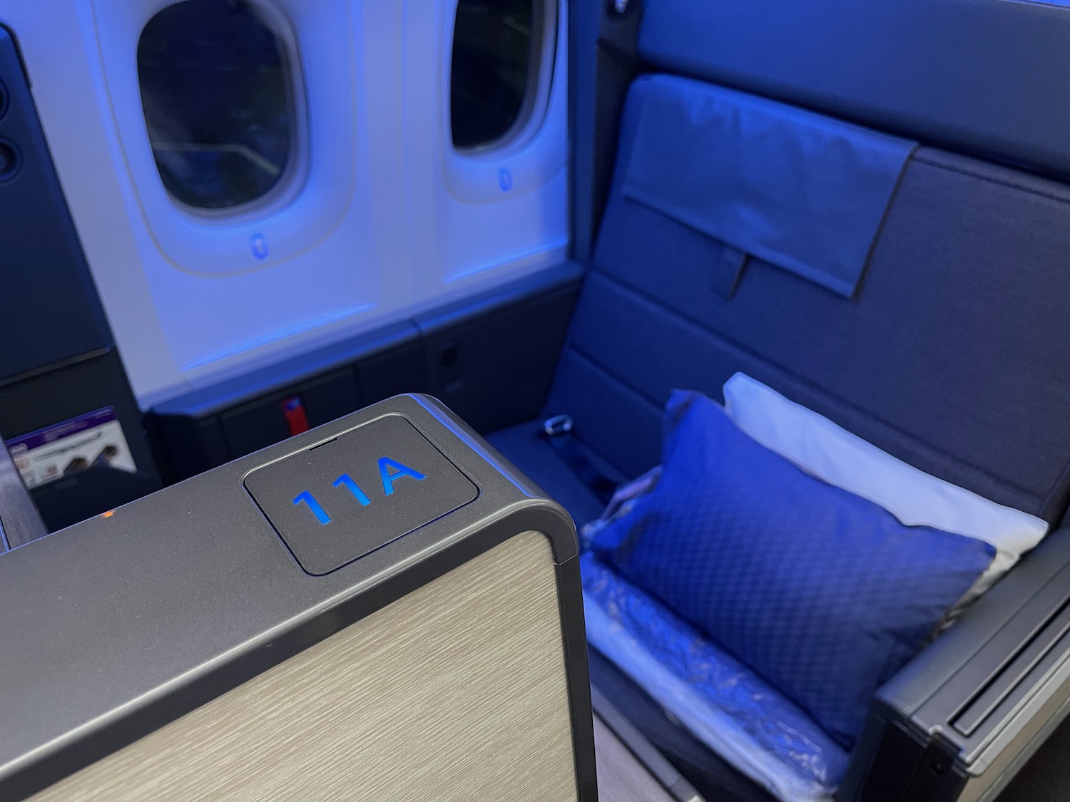 ANA 777 300ER The Room Business Class Review 21