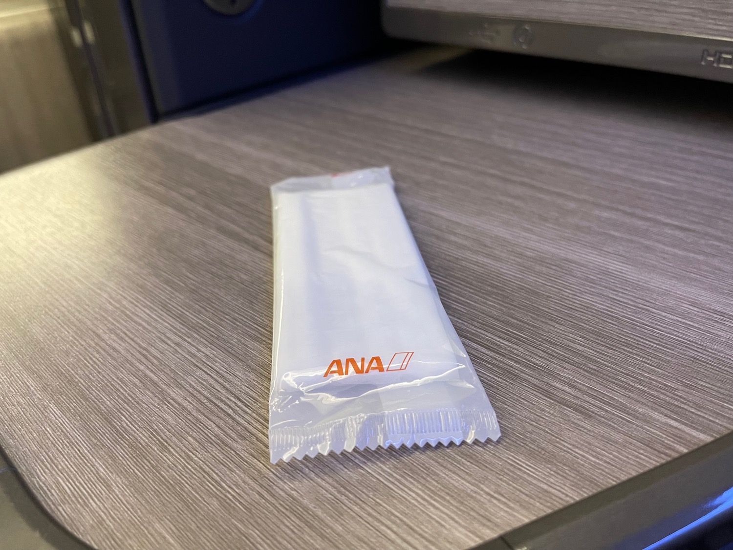 ANA 777 300ER The Room Business Class Review 56