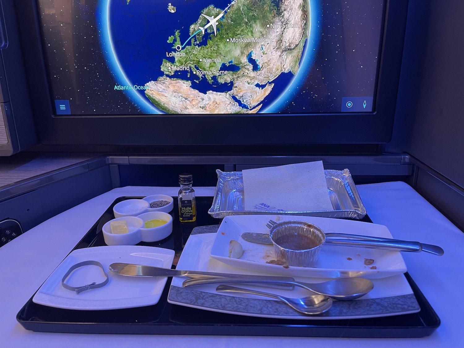 ANA 777 300ER The Room Business Class Review 89