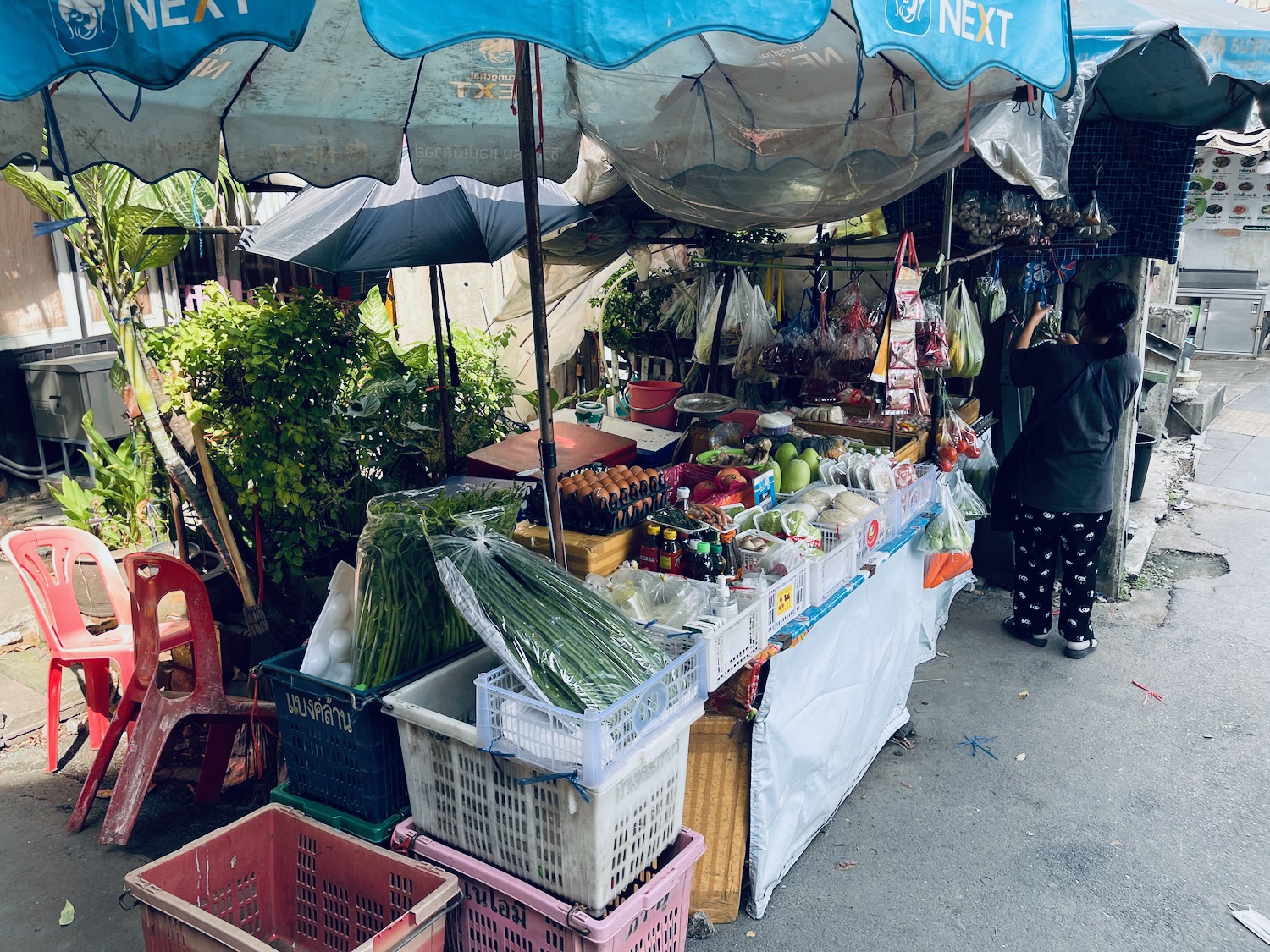 a woman standing next to a market stall