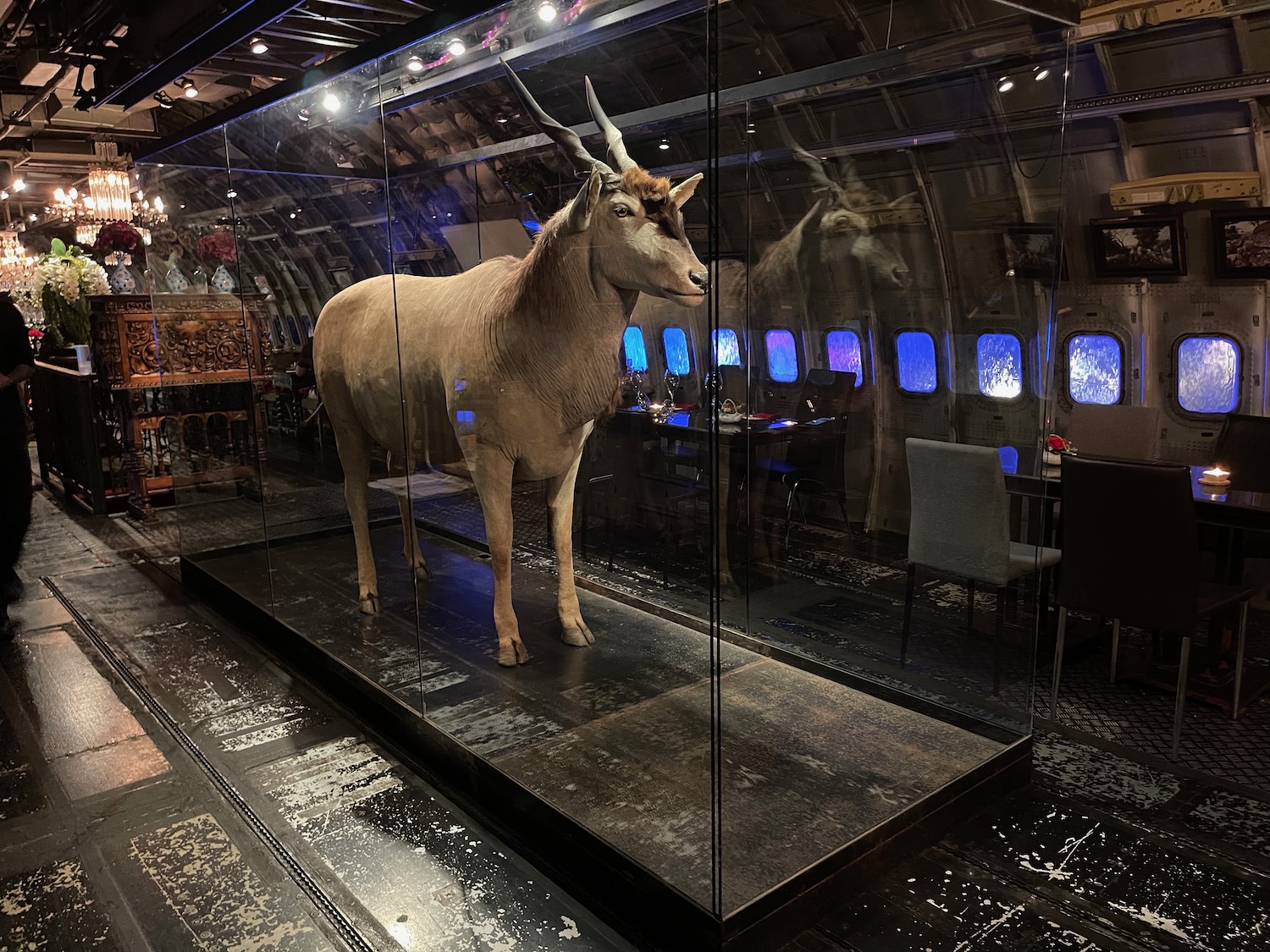 a statue of a goat in a glass case