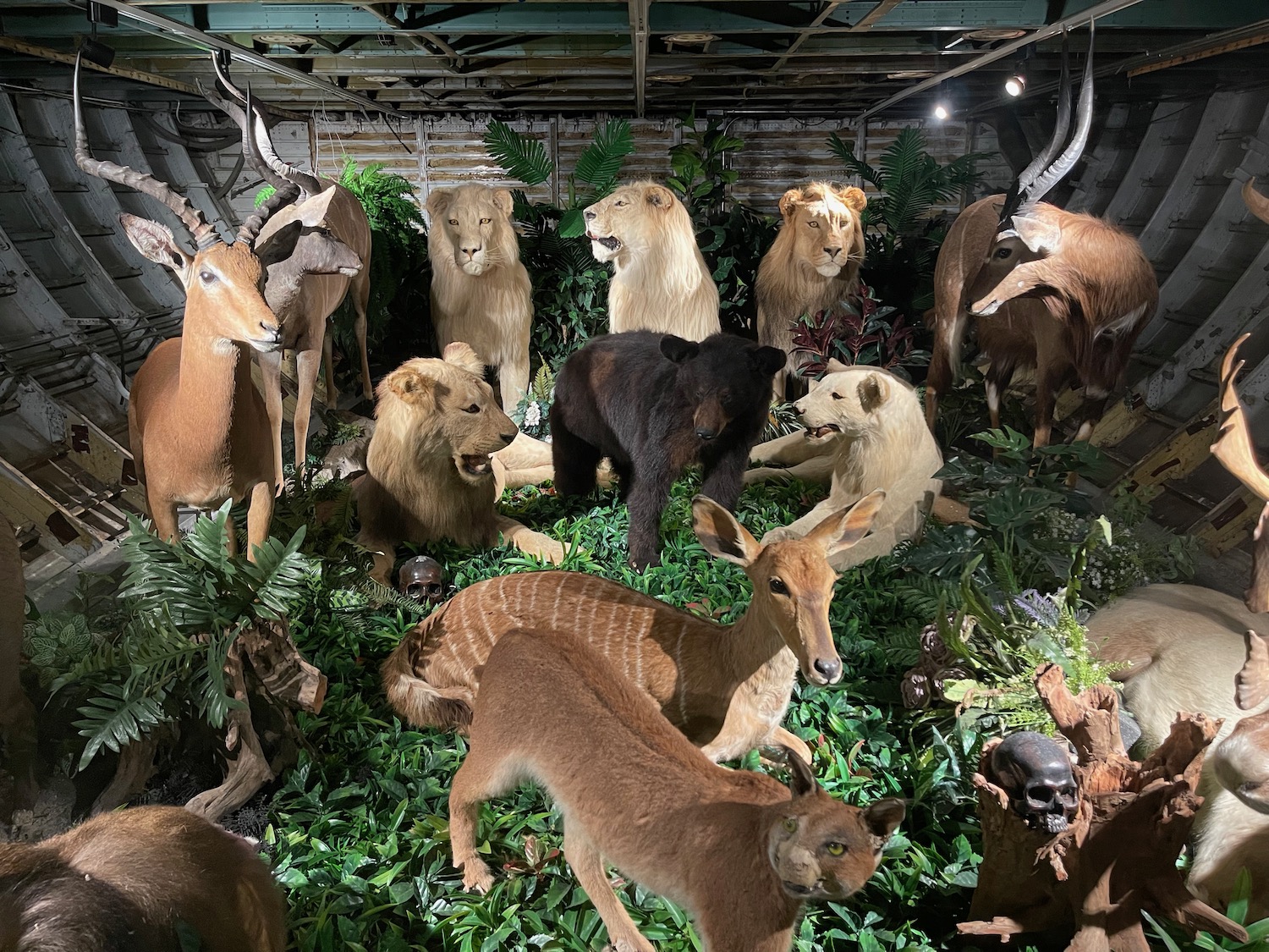 a group of animals in a room