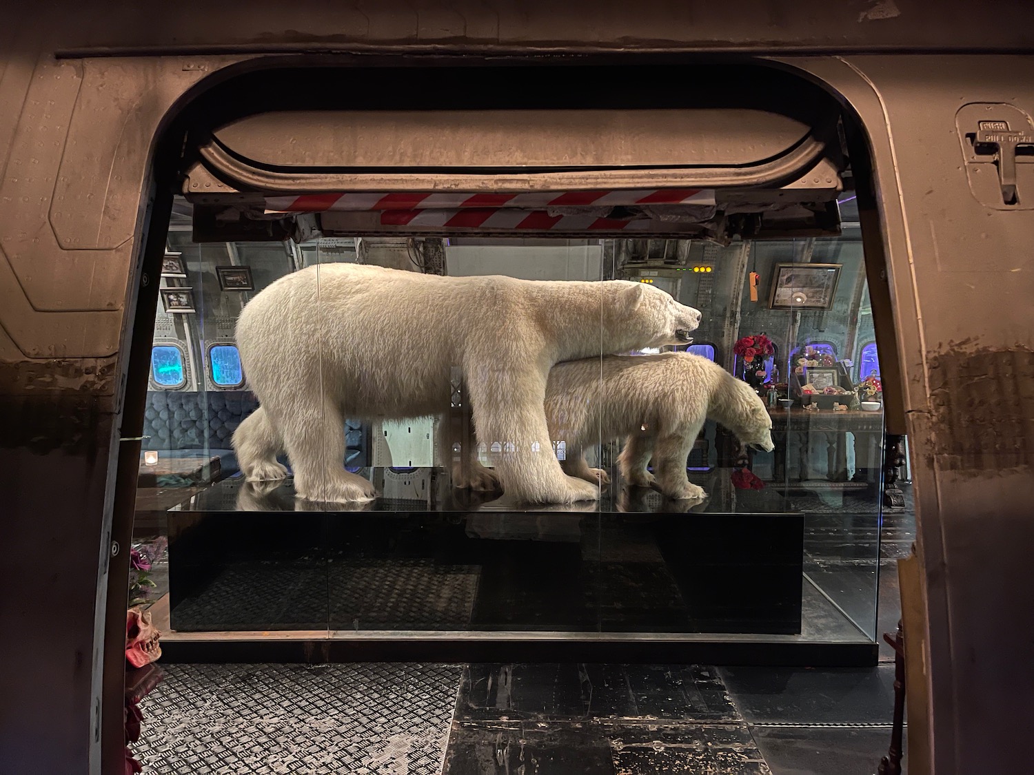 a polar bears inside a glass case