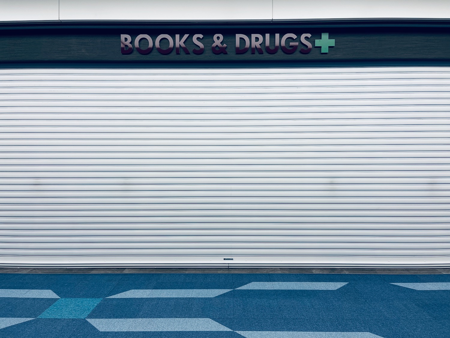 a white roller shutter door with blue carpet