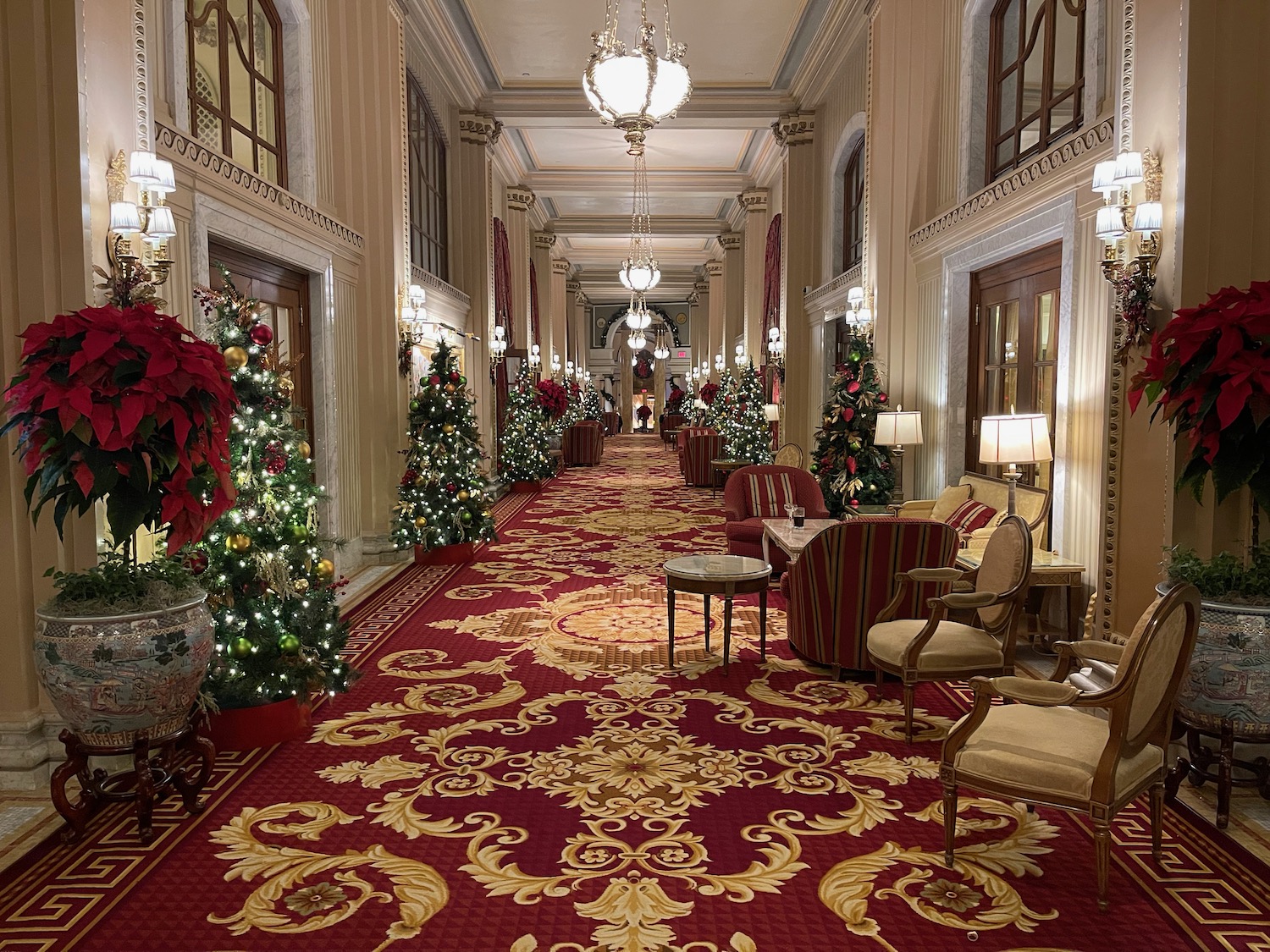 a hallway with christmas trees and lights