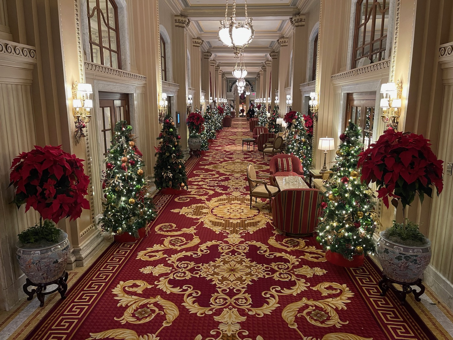 a long hallway with christmas trees and lights