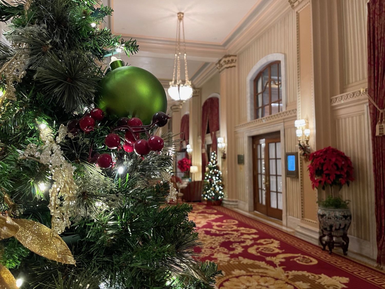 a christmas tree in a hallway