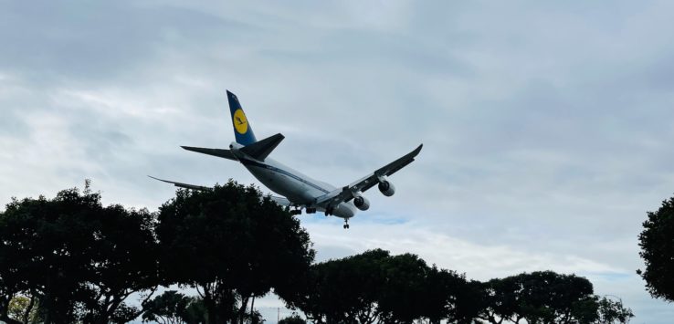 an airplane flying over trees