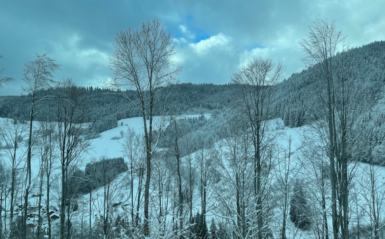 a snowy landscape with trees and mountains