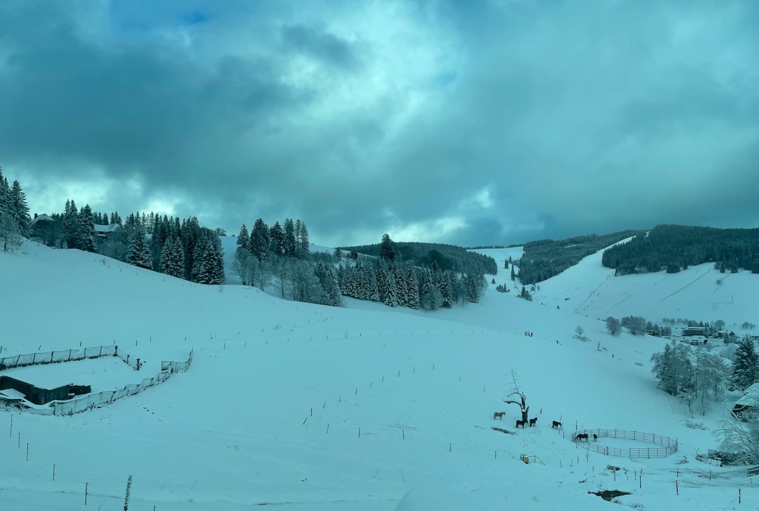 a snowy landscape with trees and a fence