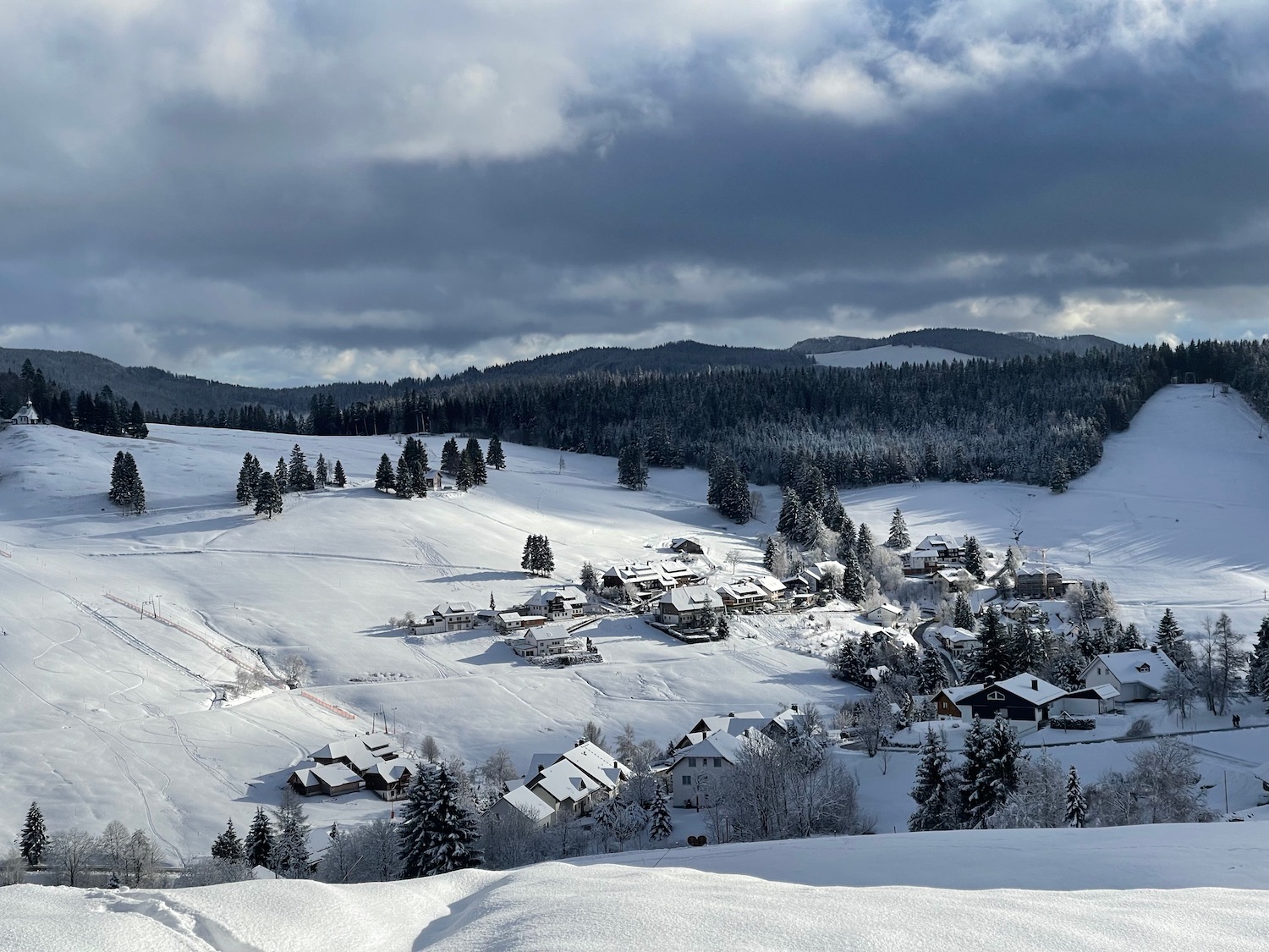 a snowy landscape with houses and trees