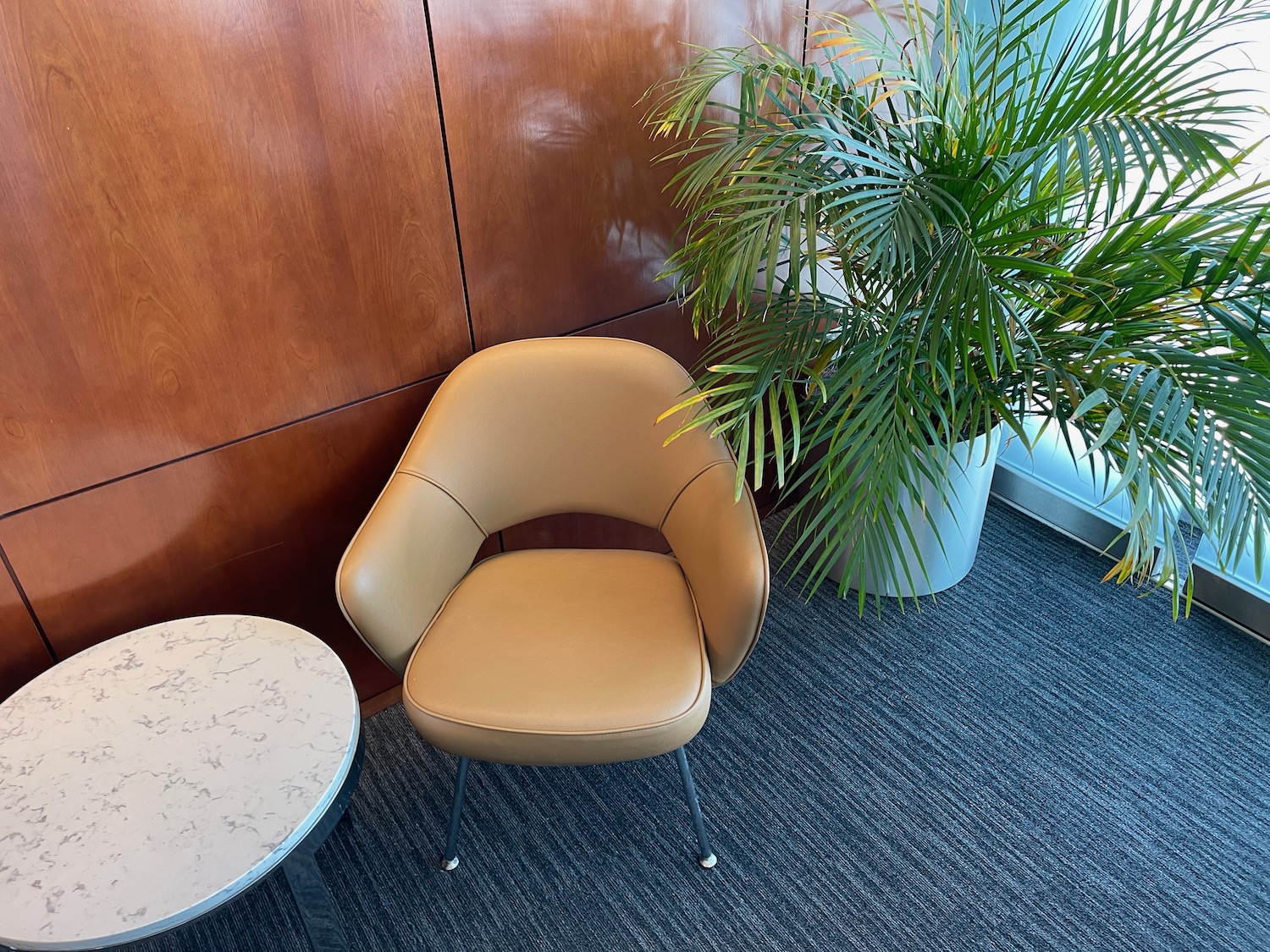 a chair and a plant in a room