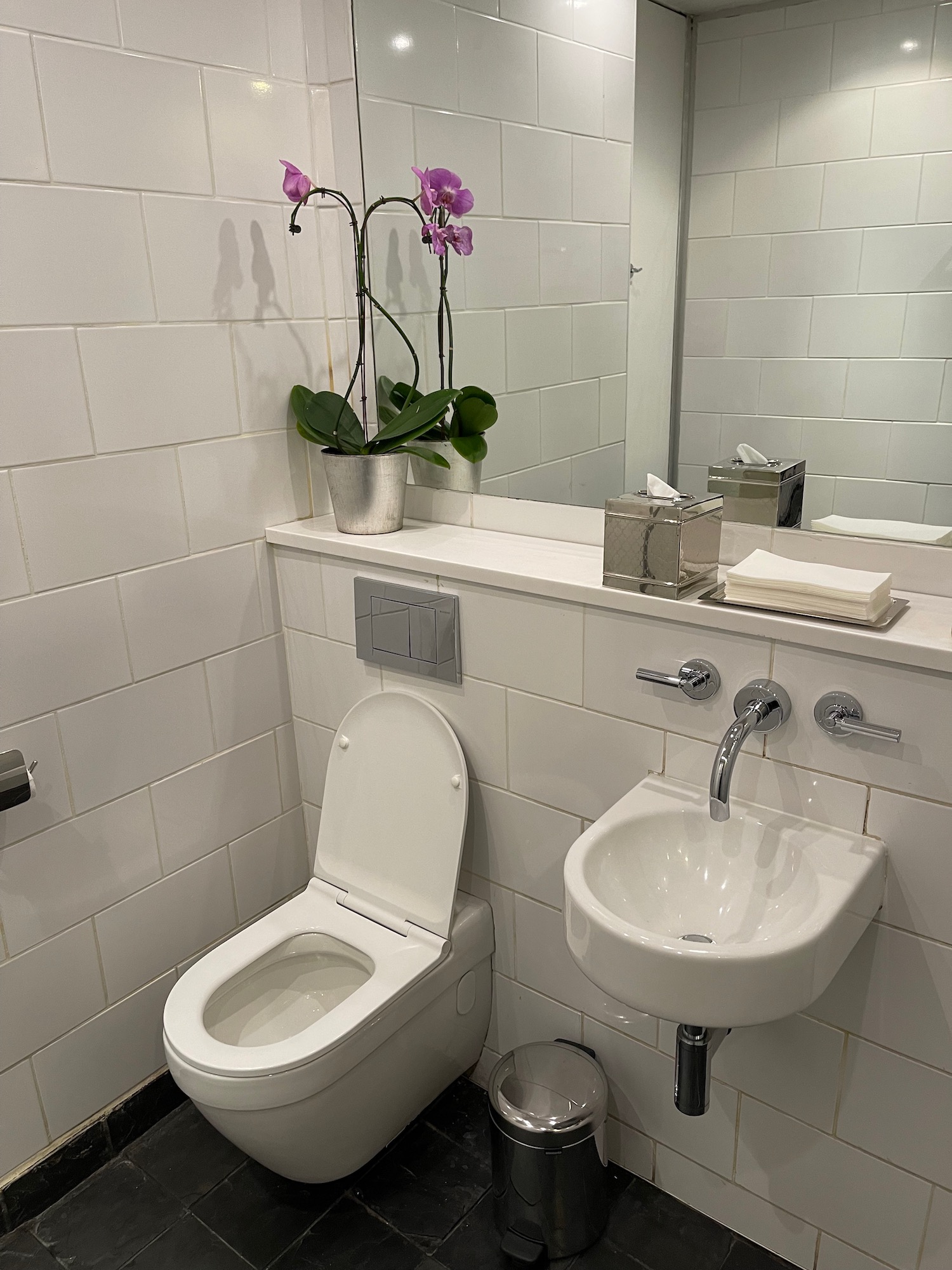 a bathroom with a sink and toilet