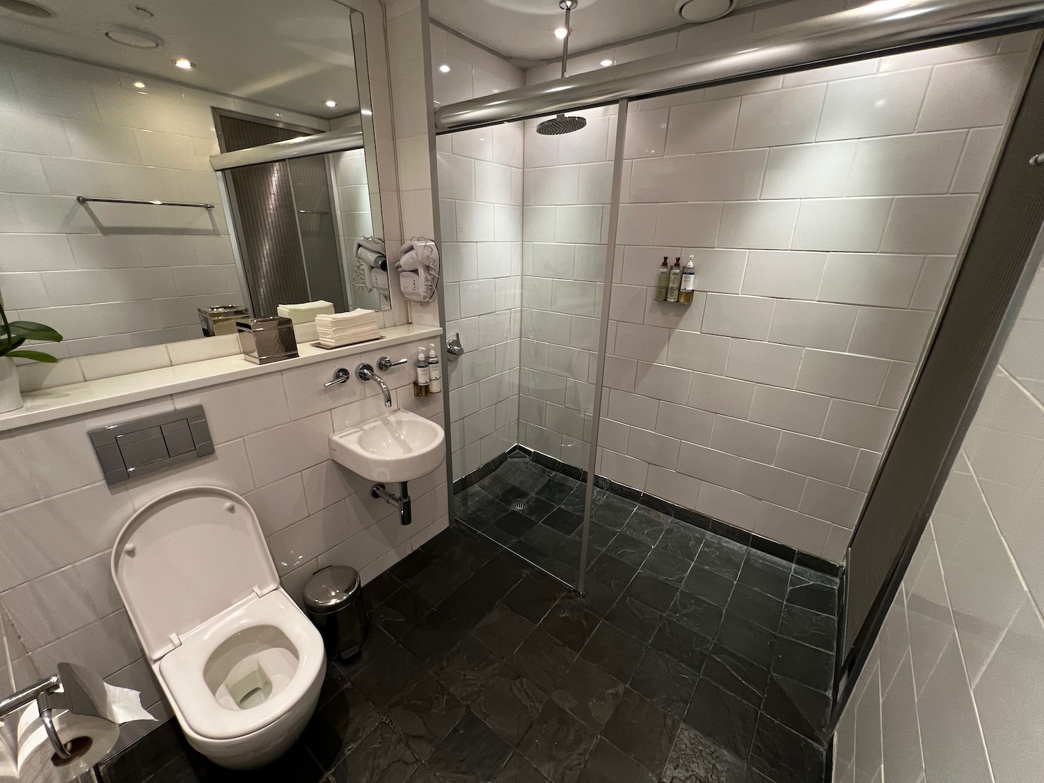 a bathroom with a shower and sink