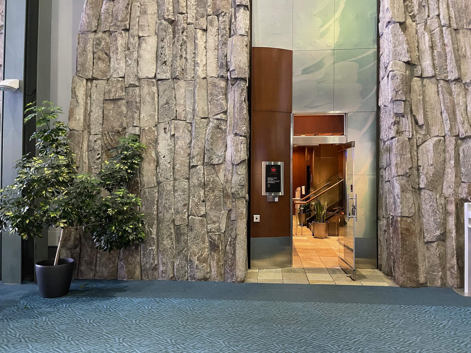 a elevator with a stone wall and a plant