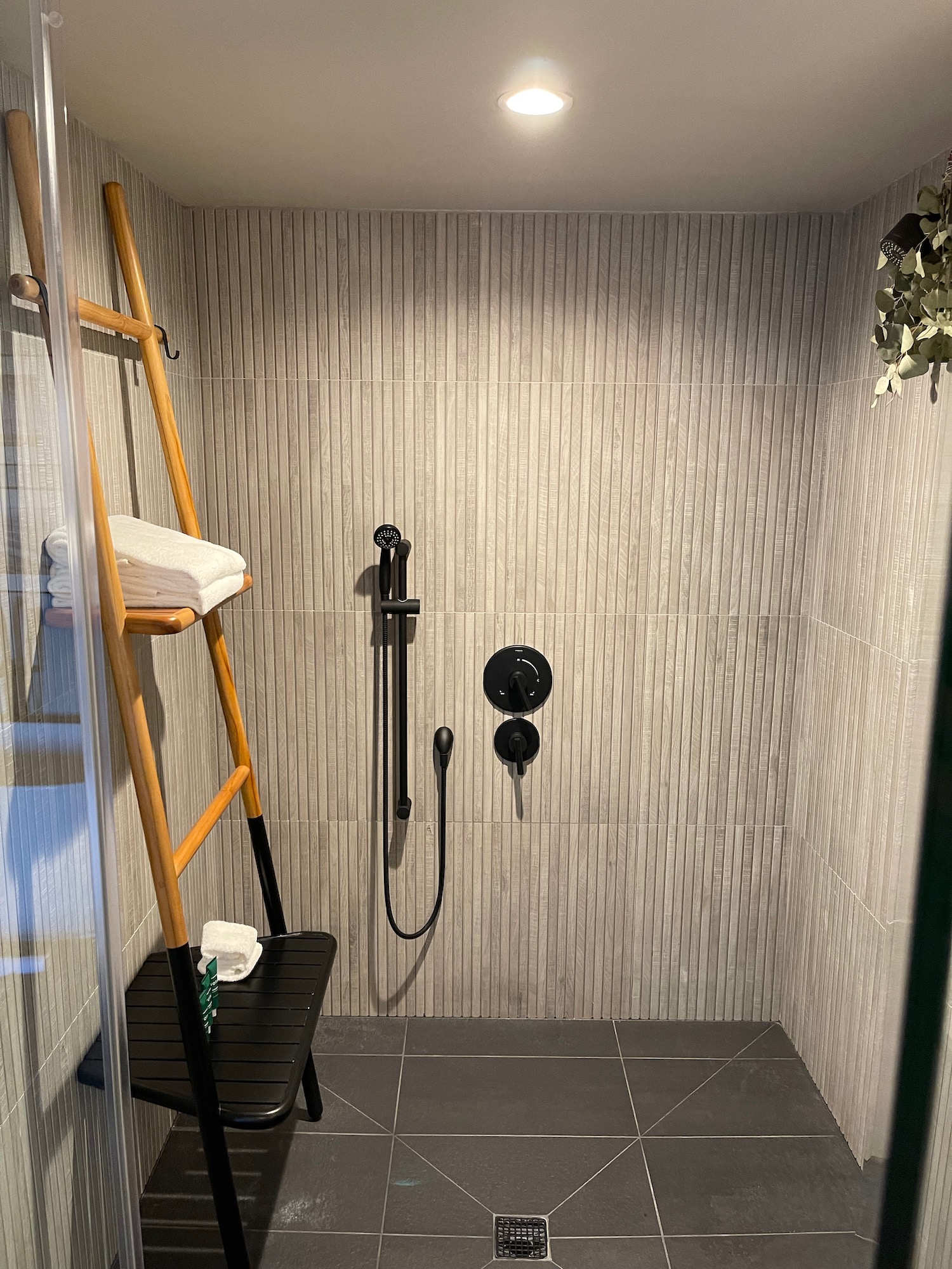 a shower with a ladder and a towel rack