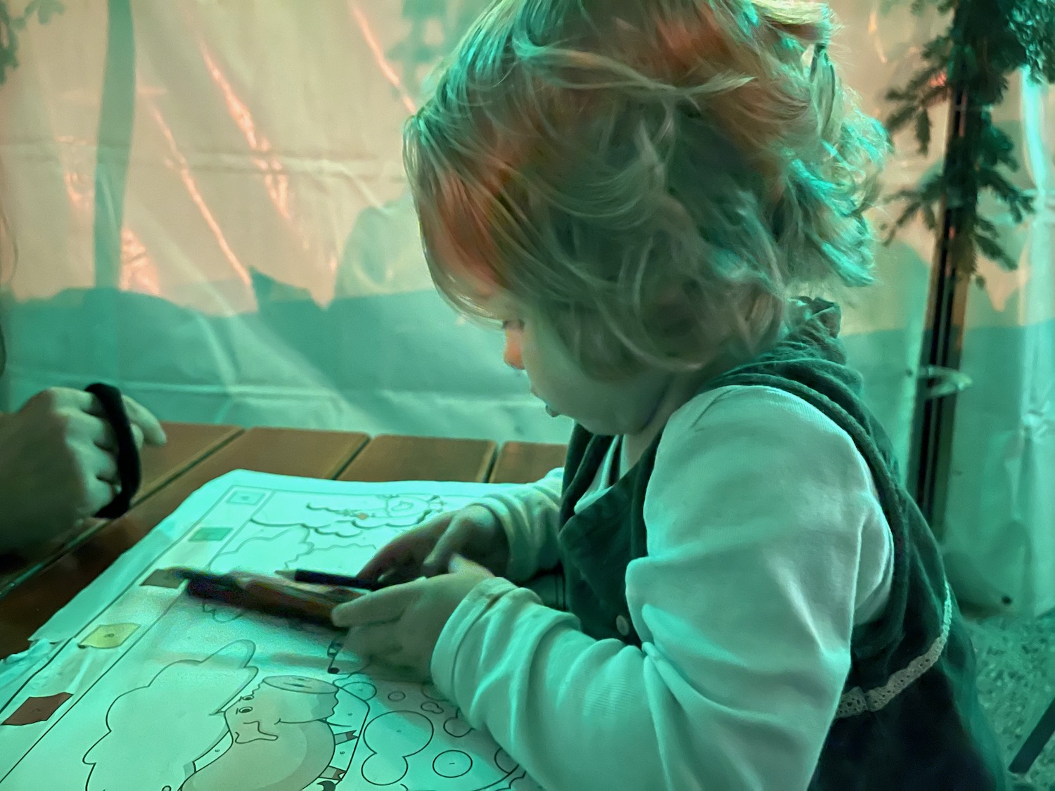 a child sitting at a table looking at a coloring book