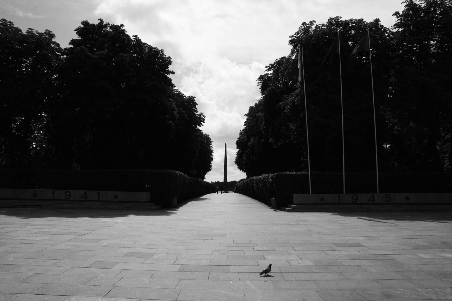 a stone walkway with a bird on it