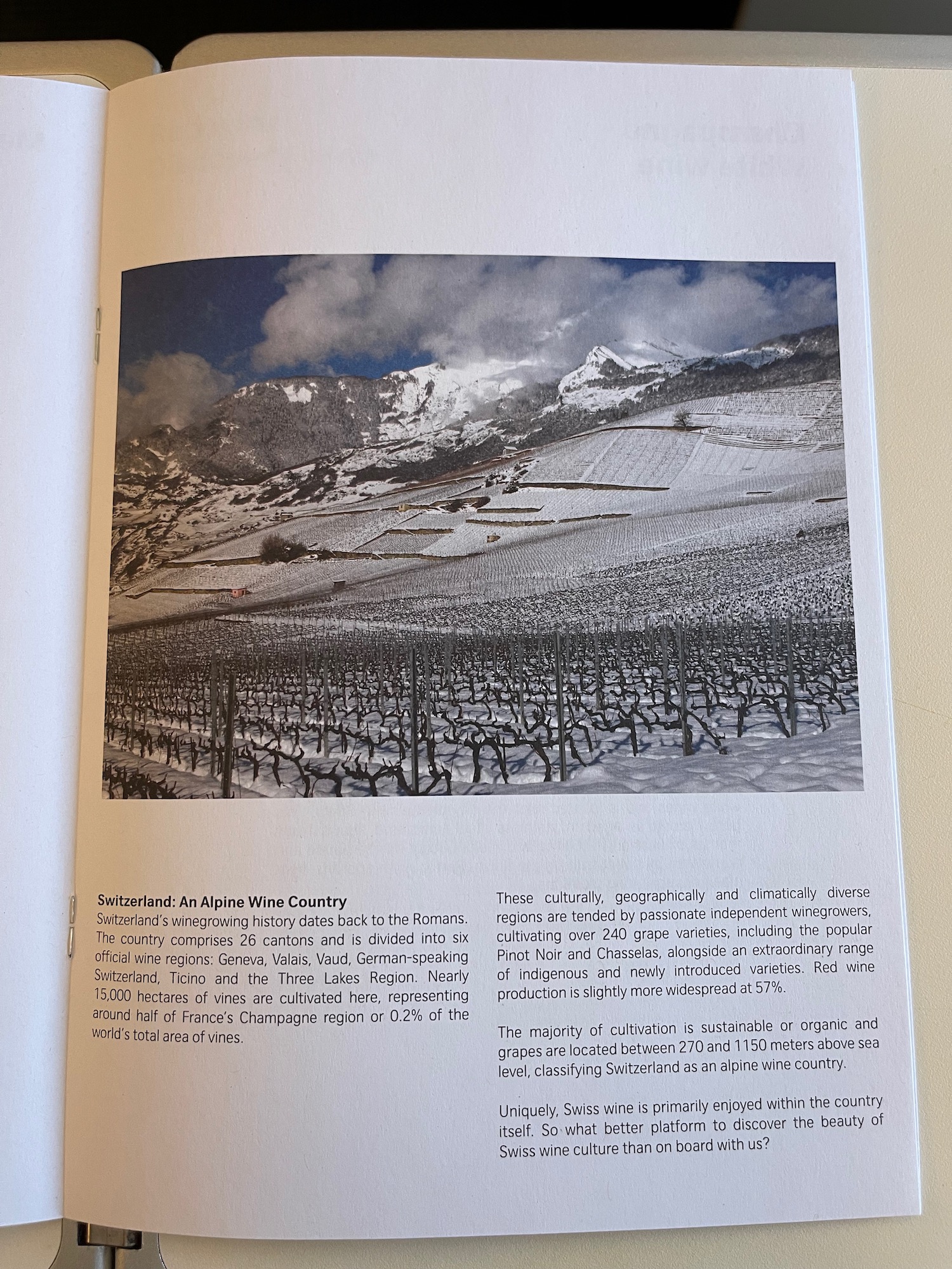 a book with a picture of a vineyard