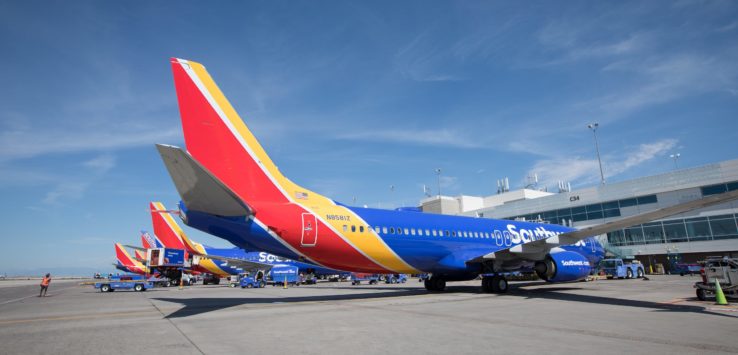 a group of airplanes parked at an airport