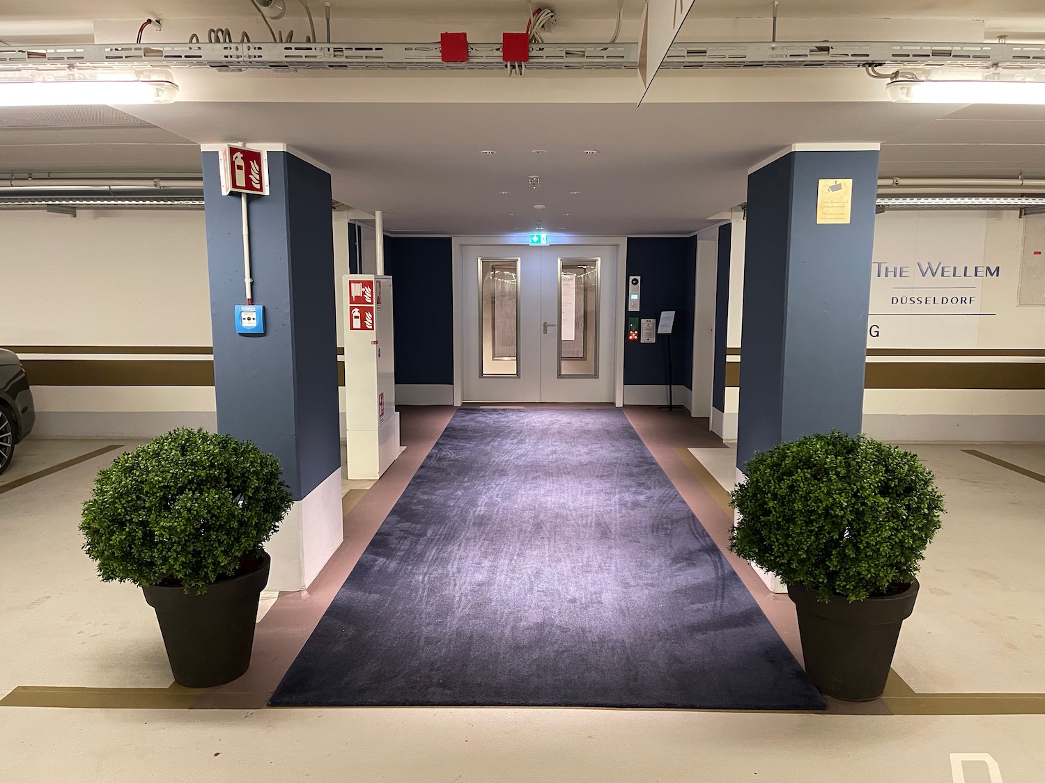 a blue carpet in a building